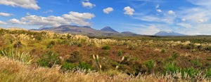 Ohakune TOP 10