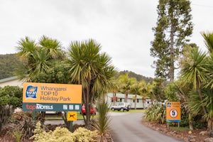 Whangarei TOP 10